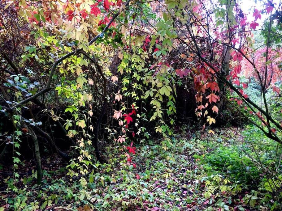 Forestry Cottage. Hot Tub, Open Fire, Dog Friendly Gaywood Exterior photo